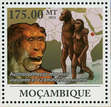 Human Evolution Stamp Australopithecus Africanus Man S/S MNH #4473 / Bl.433