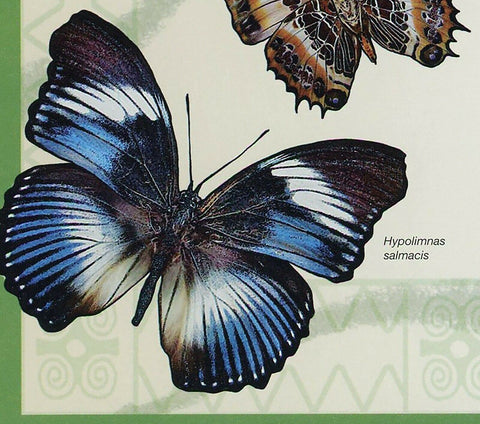 Butterflies Stamp Cardisoma Armatum Graphium Ridleyanus S/S MNH #3408 / Bl.492