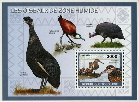 Wetland Birds Stamp Rostratula Benghalensis Souvenir Sheet MNH #3438 / Bl.498