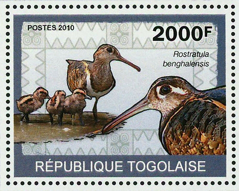 Wetland Birds Stamp Rostratula Benghalensis Souvenir Sheet MNH #3438 / Bl.498