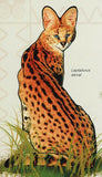 Predators Stamp Black Jackal Canis Mesomelas Souvenir Sheet MNH #3467 / Bl.503