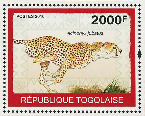 Cheetah Stamp Acinonyx Jubatus Wild Animal Souvenir Sheet MNH #3468/Bl.504