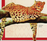 Cheetah Stamp Acinonyx Jubatus Wild Animal Souvenir Sheet MNH #3468/Bl.504