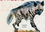 Cheetah Stamp Acinonyx Jubatus Wild Animal Souvenir Sheet MNH #3468/Bl.504