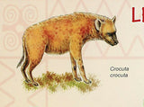 Cheetah Stamp Acinonyx Jubatus Wild Animal Souvenir Sheet MNH #3468/Bl.504