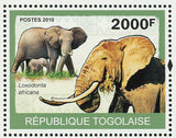 Elephants Stamp Loxodonta Africana Wild Animal Souvenir Sheet MNH #3483 / Bl.507