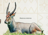 Antelopes Stamp Tragelaphus Scriptus Wild Animal Souvenir Sheet MNH #3453/Bl.501