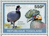 Wetland Birds Stamp Numida Meleagris Guttera Pucherani S/S MNH #3434-3437