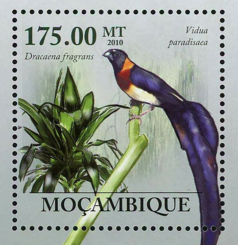 Flora & Tropical Birds Stamp Vidua Paradisaea Souvenir Sheet MNH #3514 / Bl.292