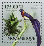 Flora & Tropical Birds Stamp Vidua Paradisaea Souvenir Sheet MNH #3514 / Bl.292