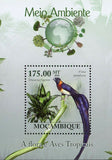 Flora & Tropical Birds Stamp Vidua Paradisaea Souvenir Sheet MNH #3514 / Bl.292