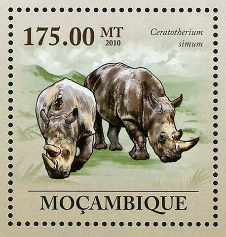 Rhinos Stamp Ceratotherium Simum Wild Animal Souvenir Sheet MNH #3637 / Bl.307