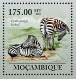 Zebras Stamp Equus Quagga Boehmi Wild Animal Souvenir Sheet MNH #3627/Bl.297