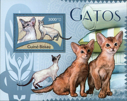 Cats Stamp Gato Chartreux Abyssinian Siamese Souvenir Sheet MNH #5769 / Bl.1016