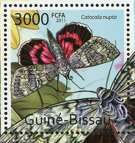 Butterflies Stamp Catocala Nupta Hepiale Venus Dorycampa Regalis S/S MNH #5712