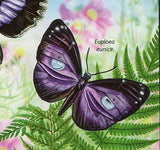 Butterflies Stamp Catocala Nupta Hepiale Venus Dorycampa Regalis S/S MNH #5712