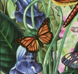 Butterflies Stamp Catocala Nupta Hepiale Venus Dorycampa Regalis S/S MNH #5712