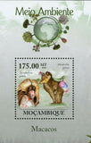 Macaques Stamp Theropithecus Gelada Souvenir Sheet MNH #3643 / Bl.313