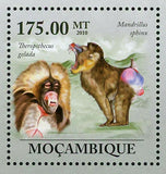 Macaques Stamp Theropithecus Gelada Souvenir Sheet MNH #3643 / Bl.313