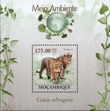 Lions Stamp Wild Cats Panthera Leo Souvenir Sheet MNH #3634 / Bl.304