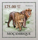Lions Stamp Wild Cats Panthera Leo Souvenir Sheet MNH #3634 / Bl.304