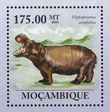 Hippopotamus Stamp Hippo Hippopotamus Amphibius S/S MNH #3639 / Bl.309