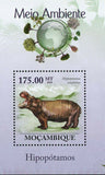 Hippopotamus Stamp Hippo Hippopotamus Amphibius S/S MNH #3639 / Bl.309