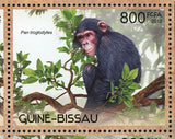 Primates Stamp Oreonax Flavicauda Pan Troglodytes Souvenir Sheet MNH #6231-6234