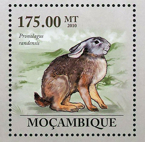 Rabbits Stamp Pronolagus Randensis Souvenir Sheet MNH #3631 / Bl.301