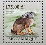 Rabbits Stamp Pronolagus Randensis Souvenir Sheet MNH #3631 / Bl.301