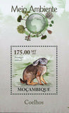 Rabbits Stamp Pronolagus Randensis Souvenir Sheet MNH #3631 / Bl.301