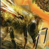 Bees Stamp Apis Mellifera Beehive Insect Souvenir Sheet MNH #5986 / Bl.1059