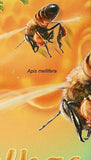 Bees Stamp Apis Mellifera Beehive Insect Souvenir Sheet MNH #5986 / Bl.1059