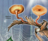 Mushrooms Stamps Gomphidius Glutinosus Agaricus Nebularis S/S MNH #6021 /Bl.1066