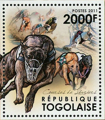 Racing Greyhounds Stamp Racing Dogs Souvenir Sheet MNH #4320 / Bl.676