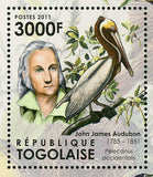 John James Audubon Stamp Birds Zenaida Macroura S/S MNH #4240 / Bl.656