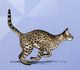 Savannah Cat Stamp Pet Domestic Animal Souvenir Sheet MNH #5936 / Bl.1049