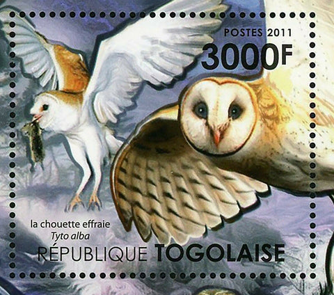 African Owls Stamp Bird Tyto Alba Tyto Capensis Bubo S/S MNH #4131 / Bl.634