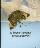 Butterflies & Flowers of Africa Stamp Bebearia Sophus S/S MNH #4121 / Bl.632
