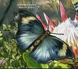 Butterflies & Flowers of Africa Stamp Bebearia Sophus S/S MNH #4121 / Bl.632