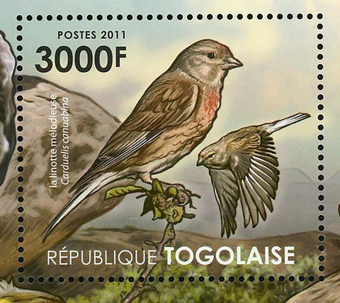 The Horn of Africa Birds Neophron Percnopterus Felis Silvestris S/S MNH #4236