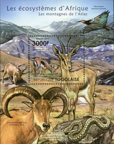 The Atlas Mountains Stamp Gazelle Ammotragus Lervia Vipera Monticola S/S MNH
