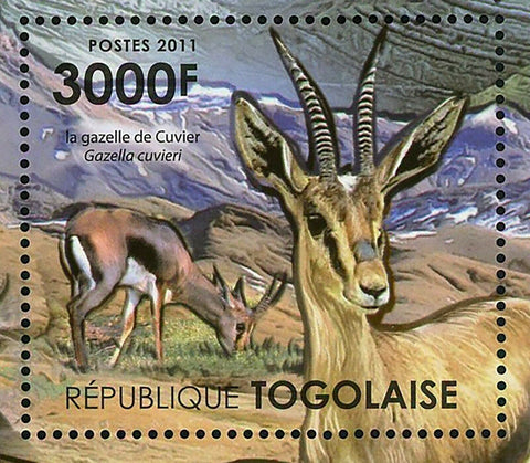 The Atlas Mountains Stamp Gazelle Ammotragus Lervia Vipera Monticola S/S MNH