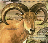 The Atlas Mountains Stamp Gazelle Ammotragus Lervia Vipera Monticola S/S MNH