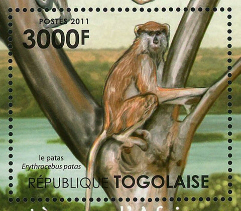The Niger River Ecosystem Stamp Erythrocebus Patas S/S MNH #4230 / Bl.649