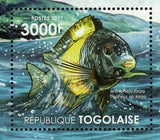 Ecosystem of Tanganyika Lake Stamp Fish Marine Fauna Sardine S/S MNH #4228
