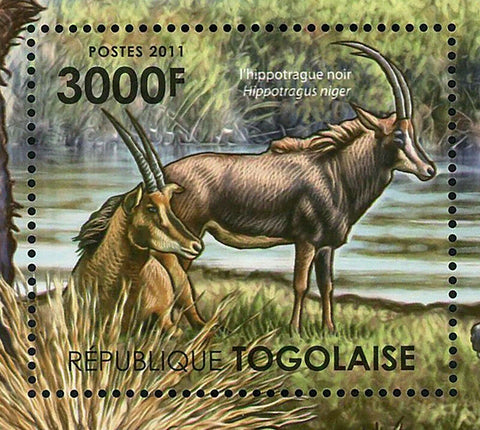 Fauna of Swampy Areas of Africa Stamp Hippotragus Niger S/S MNH #4224 / Bl.643