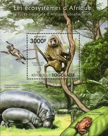 Animals of the Tropical Forest of Sub-Saharan Stamp Papio Anubis S/S MNH #4219