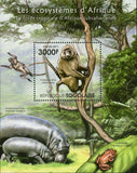 Animals of the Tropical Forest of Sub-Saharan Stamp Papio Anubis S/S MNH #4219