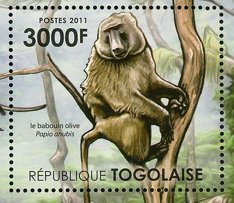 Animals of the Tropical Forest of Sub-Saharan Stamp Papio Anubis S/S MNH #4219
